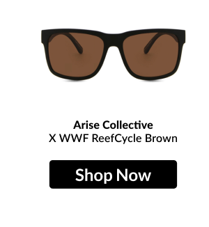 Arise Collective X WWF ReefCycle Brown