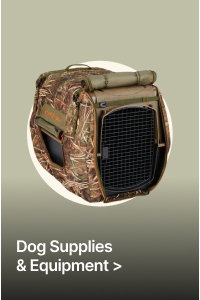 Shop Dog Supplies & Equipment