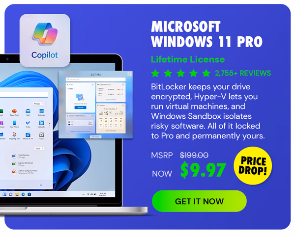 Microsoft Windows 11 Pro