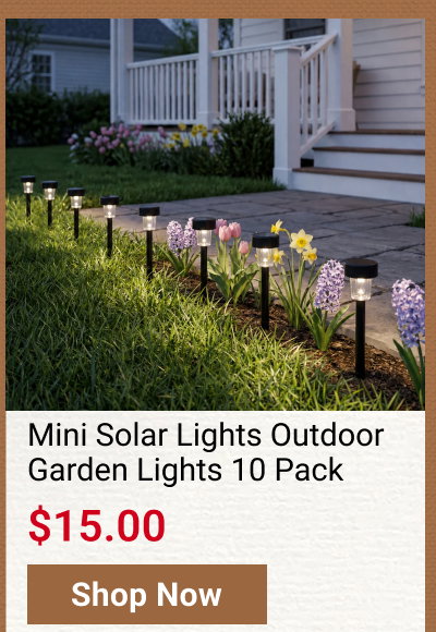 Mini Solar Lights Outdoor Garden Lights 10 Pack