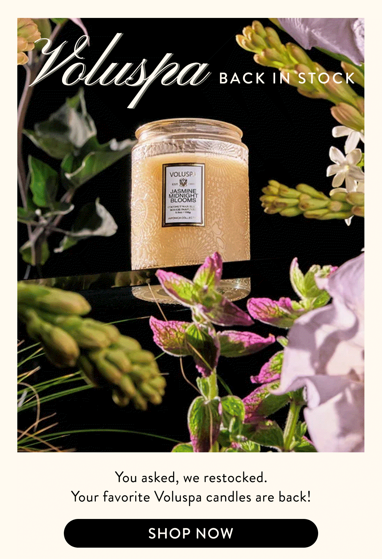 Shop Voluspa 