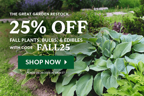 THE GREAT GARDEN RESTOCK: 25% OFF Fall Plants, Bulbs, & Edibles with code FALL25. Ends 9/29/2026 at 6am eastern time.