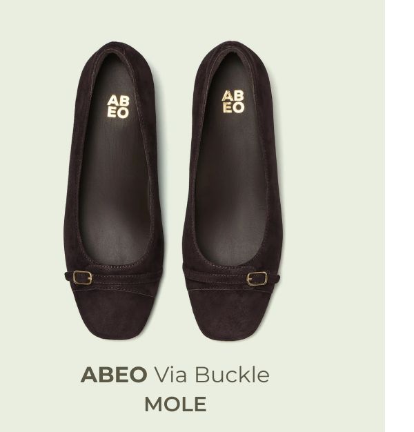 ABEO Via Buckle - Mole