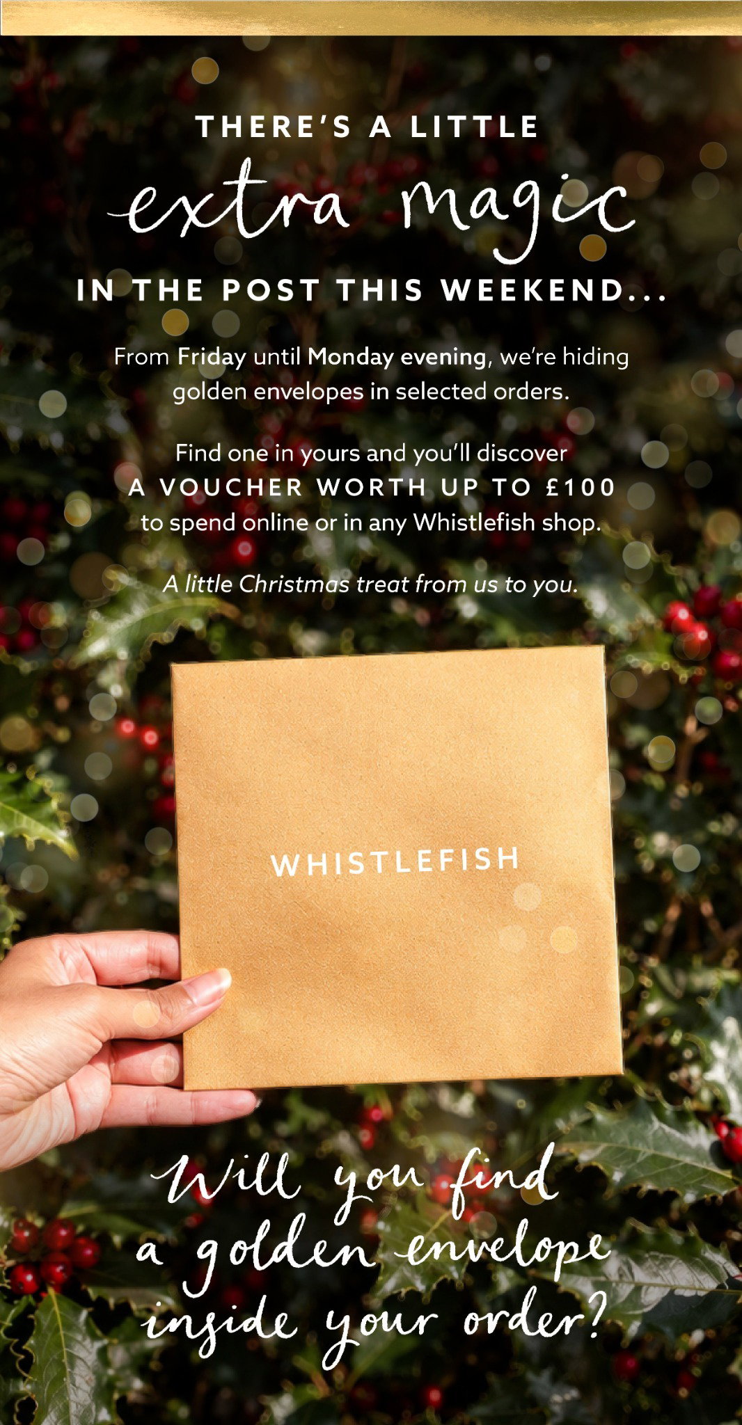 Festive Golden Envelope promotion. From Friday to Monday evening, selected orders will contain a hidden golden envelope with a Whistlefish voucher worth up to £100 to spend online or in store.