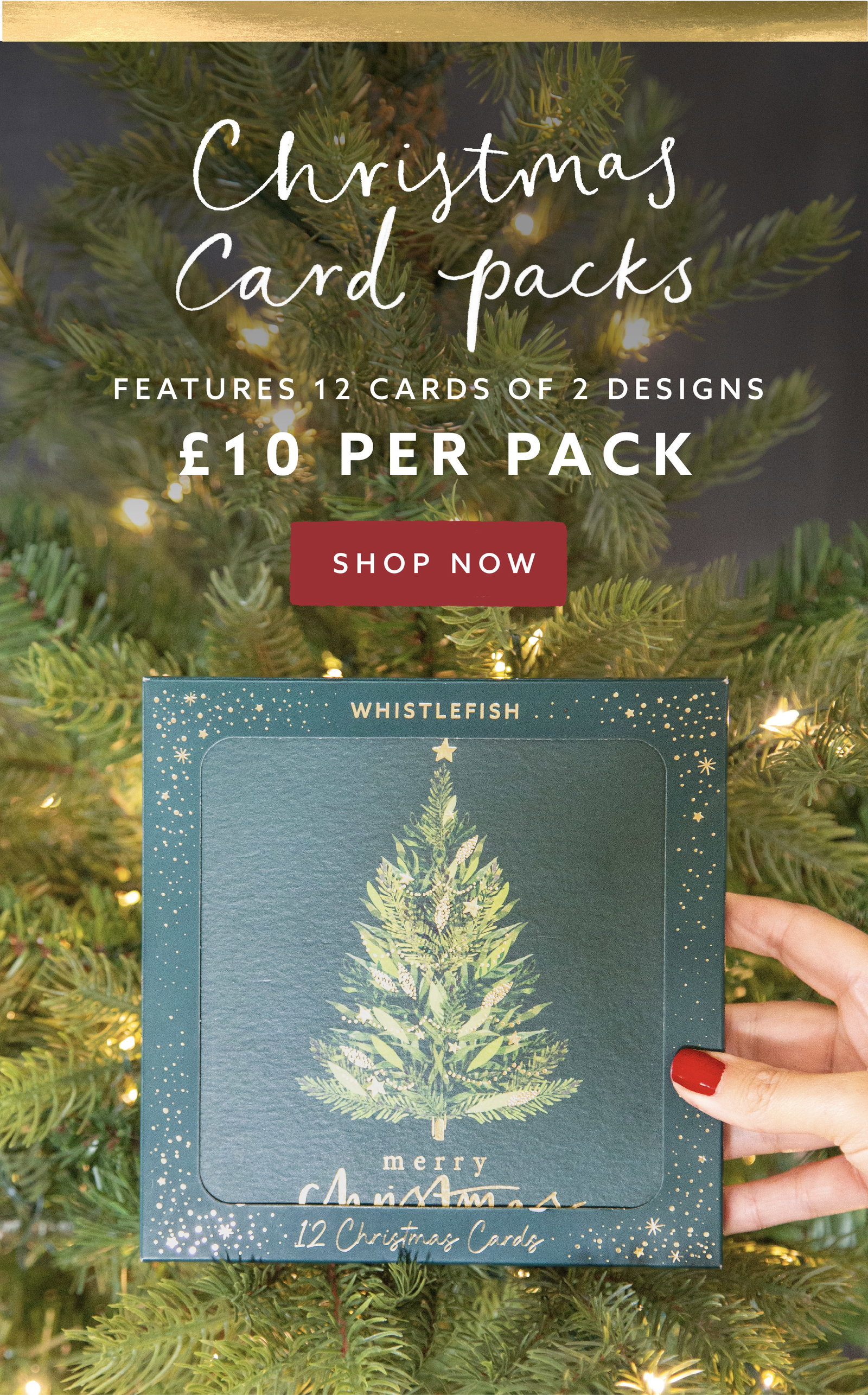 New Whistlefish Christmas card packs featuring 12 cards across 2 designs, £10 per pack.