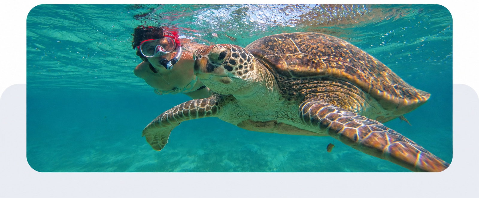 Explore unforgettable cruise destinations