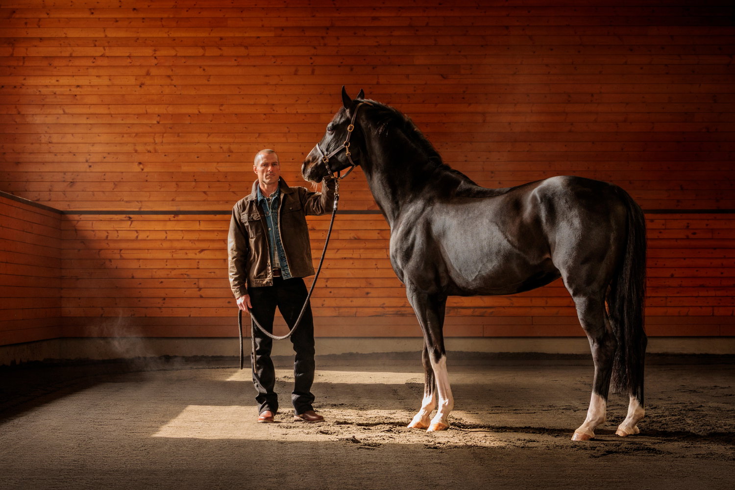 Man with horse in stable.