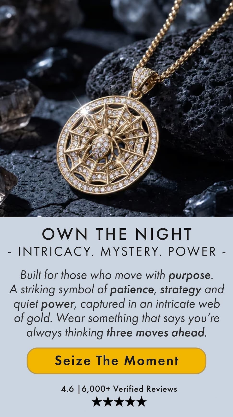 Own The Night