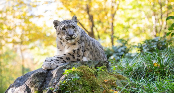 Central Park Zoo Admission: New York City
