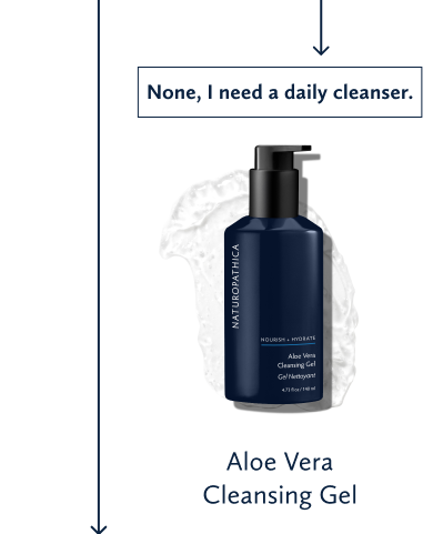 For A Daily Cleanser Shop Aloe Vera Cleansing Gel