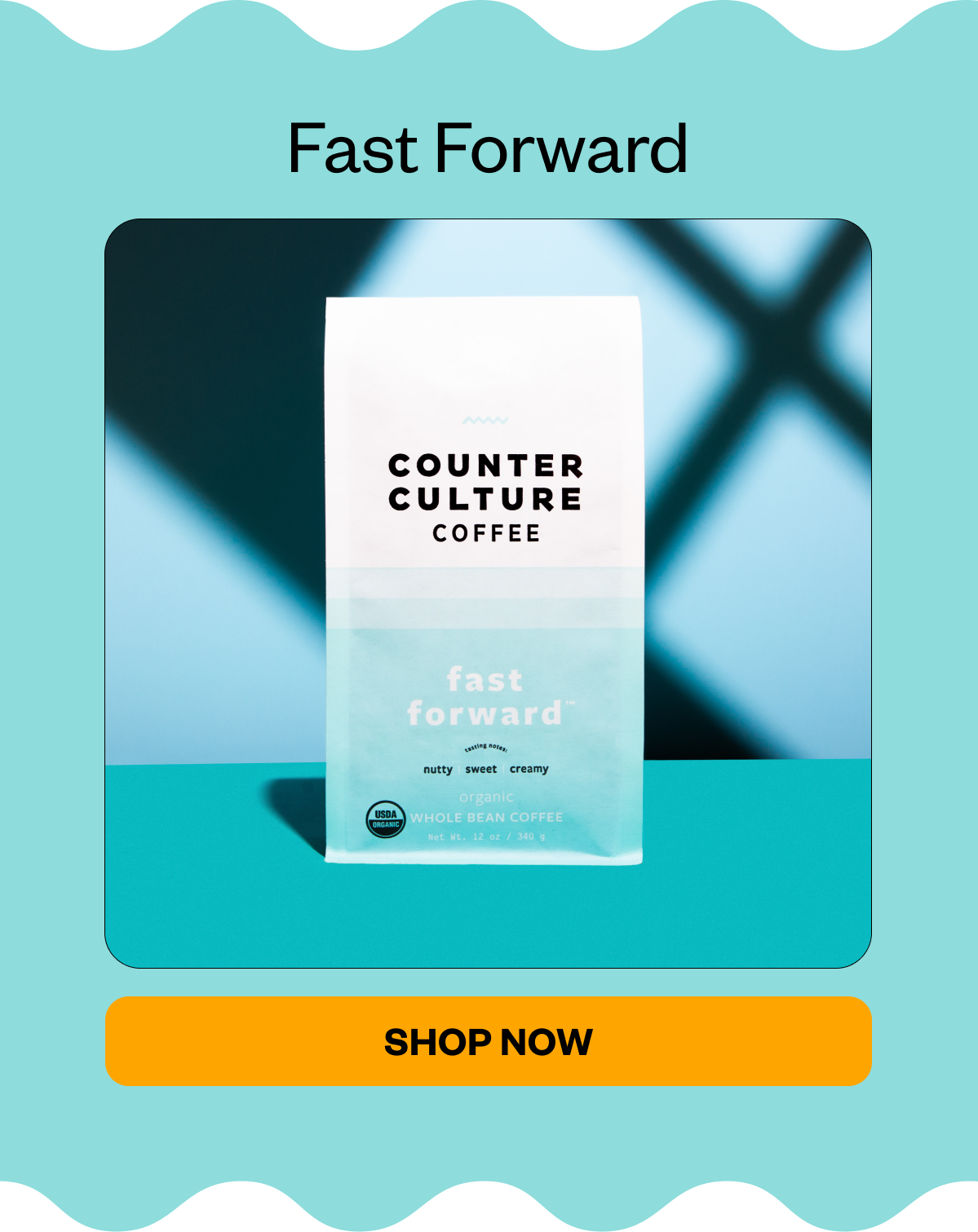Fast Forward Shop Now 
