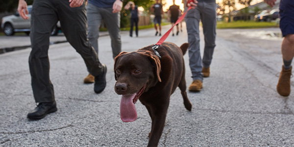 Monster, President, GORUCK Nation
