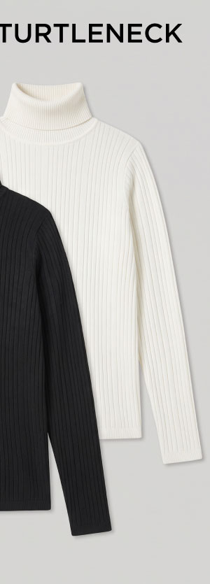 Ribbed Pullover Turtleneck Sweater