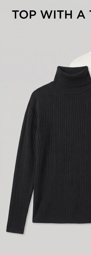 Ribbed Pullover Turtleneck Sweater