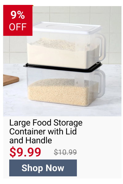 Large Food Storage Container with Lid and Handle
