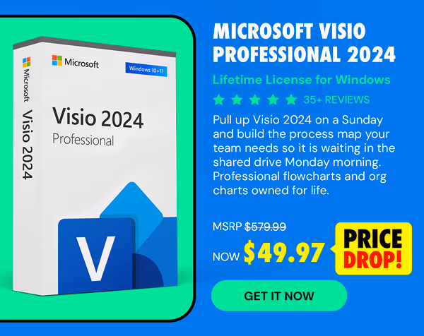 Microsoft Visio Professional 2024: Lifetime License for Windows
