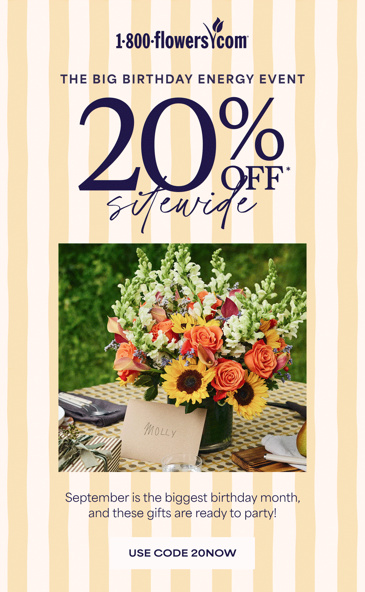 The Big Birthday Energy Event | 20% Off Sitewide | Use code 20NOW