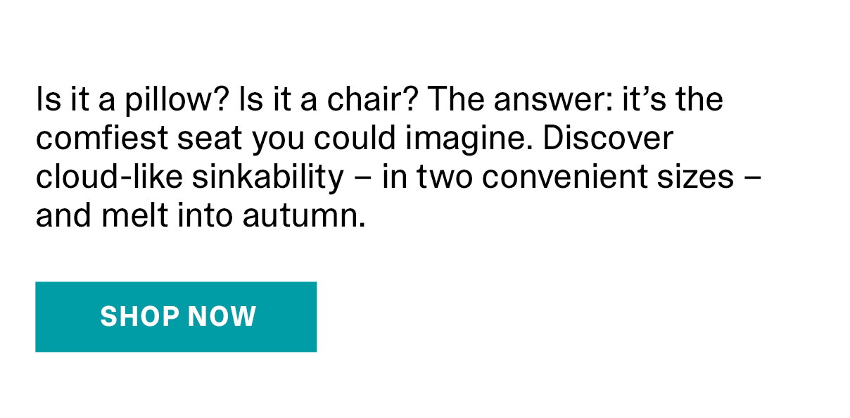 Is it a Pillow? Is it a chair? The answer - it's the comfiest seat you could imagine. Discover cloud-like sinkability - in two convenient sizes - and melt into autumn. | SHOP NOW >>