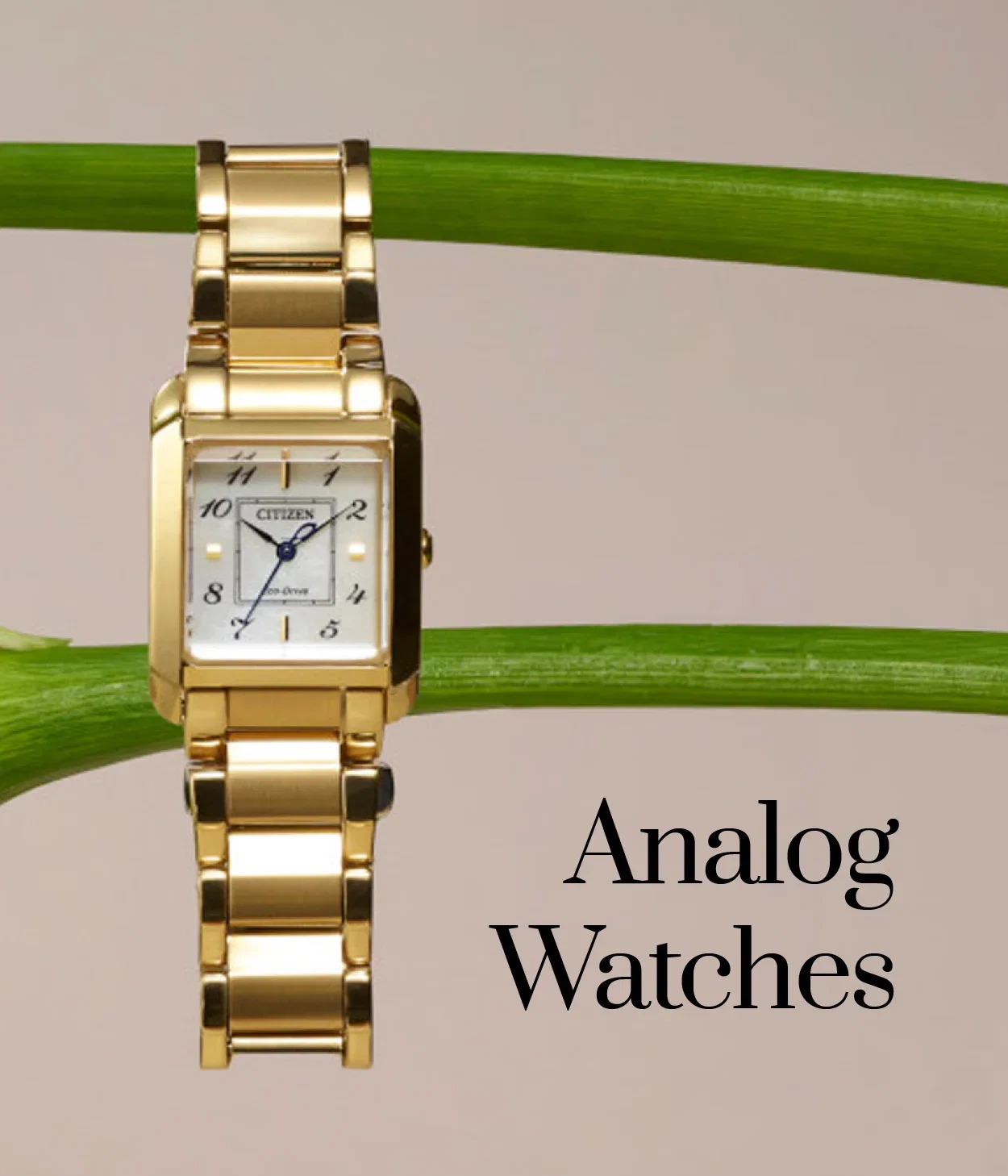 Analog Watches - Citizen Women's Bianca Analog Three Hand Gold Tone Stainless Steel Bracelet Watch, $380 Online & select stores.