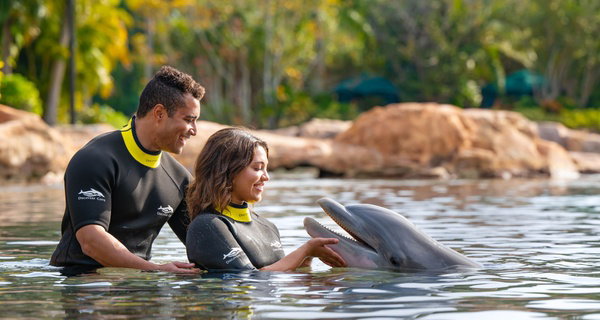 LIMITED TIME OFFER! Discovery Cove Day Resort – Orlando's #1 Theme Park