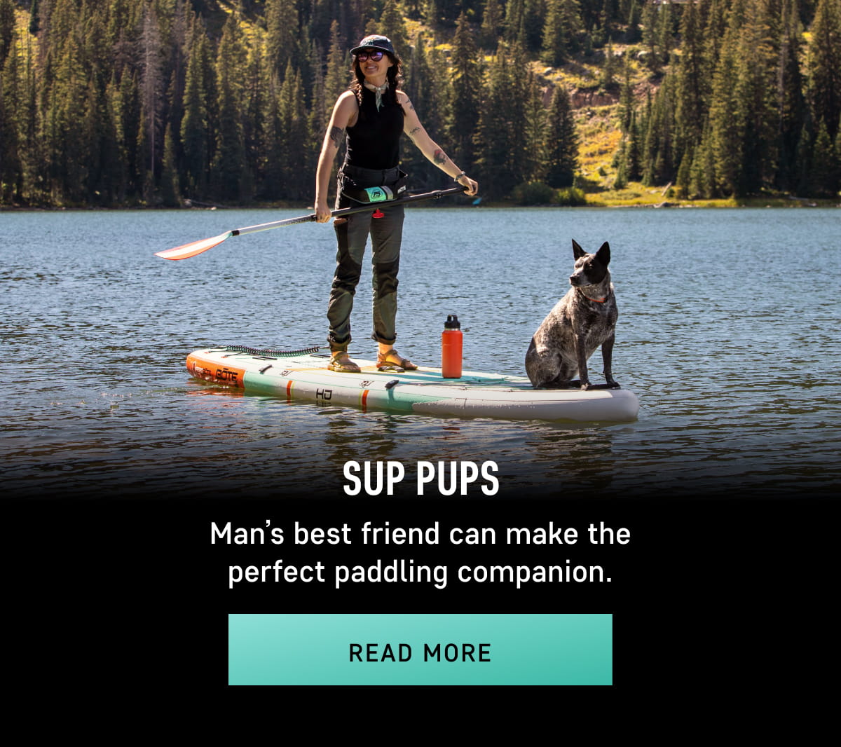 SUP Pups - Your Perfect Paddling Companion