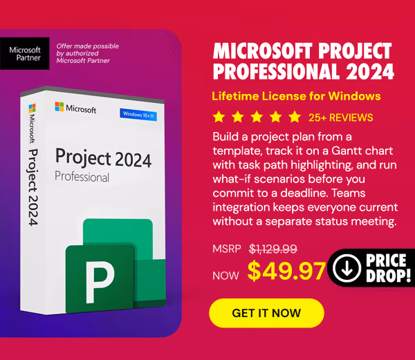Microsoft Project Professional 2024: Lifetime License for Windows