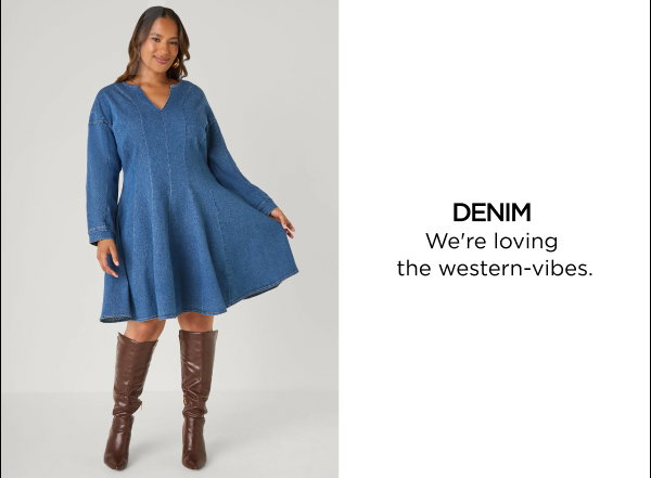 Denim A Line Dress