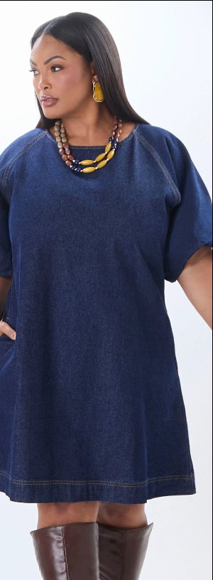 Balloon Sleeve Denim Dress