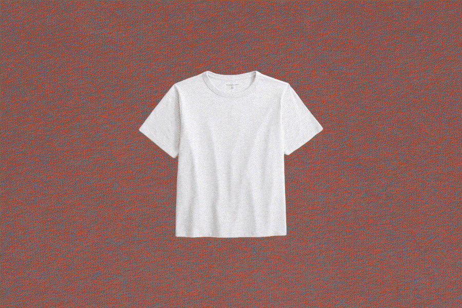I Tried All the (Under $30) Tees From Abercrombie