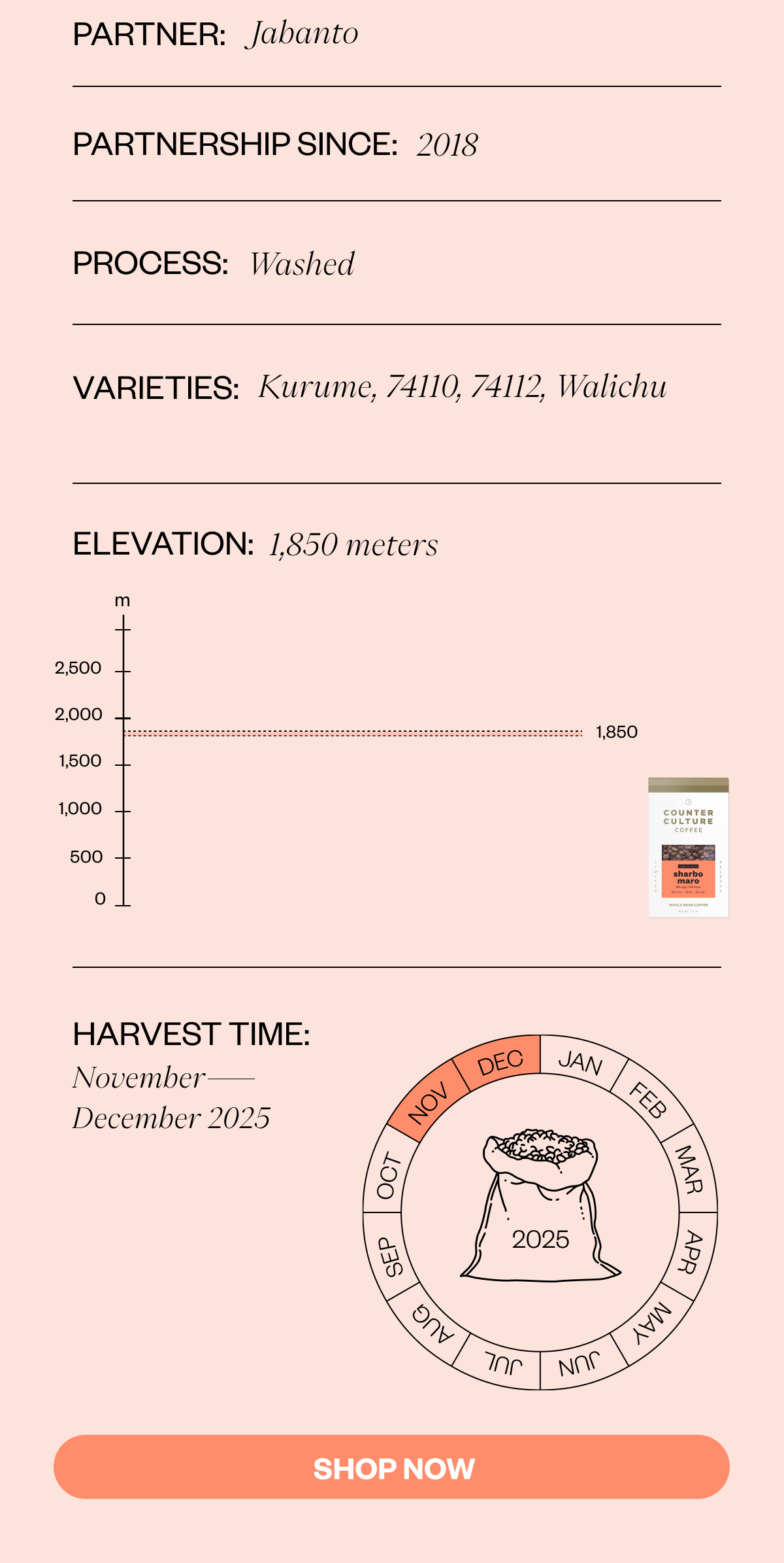 Partner:  Jabanto Partnership SInce: 2018  Harvest Description Process: Washed  Elevation: 1,850 masl Varieties: Kurume, 74110, 74112, Walichu Harvest Time: November-December 2025 SHOP NOW