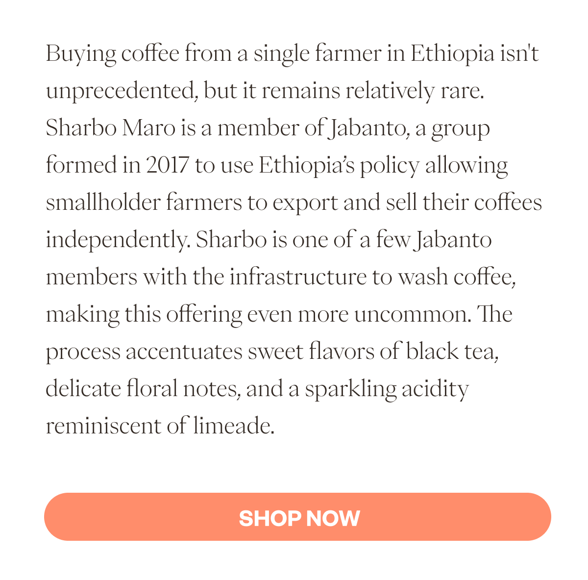 Buying coffee from a single farmer in Ethiopia isn't unprecedented, but it remains relatively rare. Sharbo Maro is a member of Jabanto, a group formed in 2017 to use Ethiopia’s policy allowing smallholder farmers to export and sell their coffees independently. Sharbo is one of a few Jabanto members with the infrastructure to wash coffee, making this offering even more uncommon. The process accentuates sweet flavors of black tea, delicate floral notes, and a sparkling acidity reminiscent of limeade.   SHOP NOW