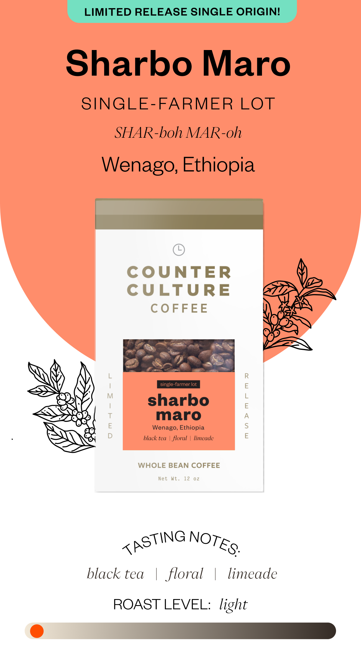 New Single - Sharbo Maro Single-Farmer Lot SHAR-boh-MAR-oh Wenago, Ethiopia Tasting Notes: black tea floral limeade Roast Level: light