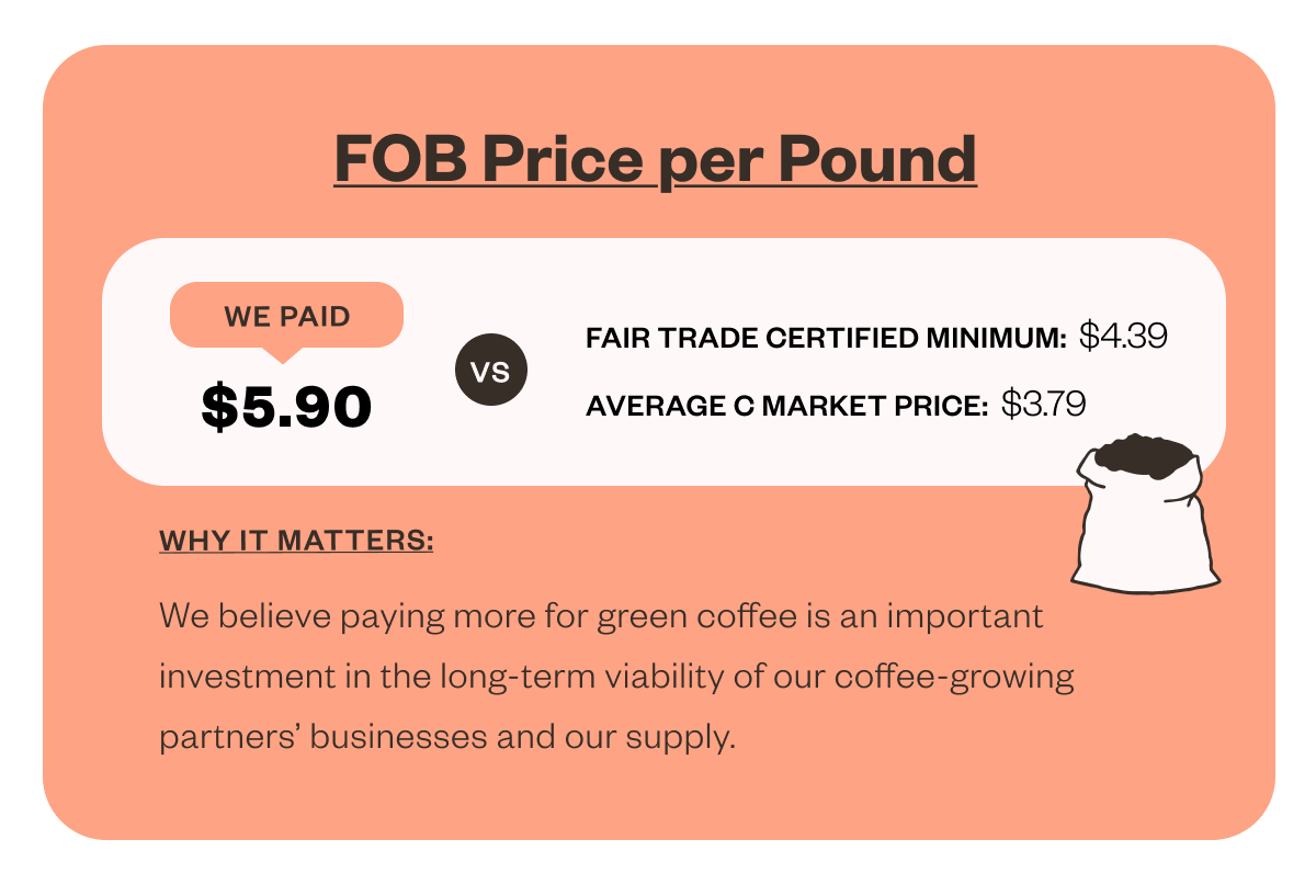 FOB Price per Pound We paid $5.90 vs Fair Trade Certified Minimum: $4.39 average c market price: $3.16 Why it matters We believe paying more for green coffee is an important investment in the long-term viability of our coffee-growing partners' businesses and our supply.